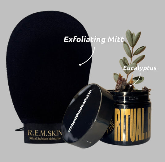 Bundle | Eucalyptus Signature