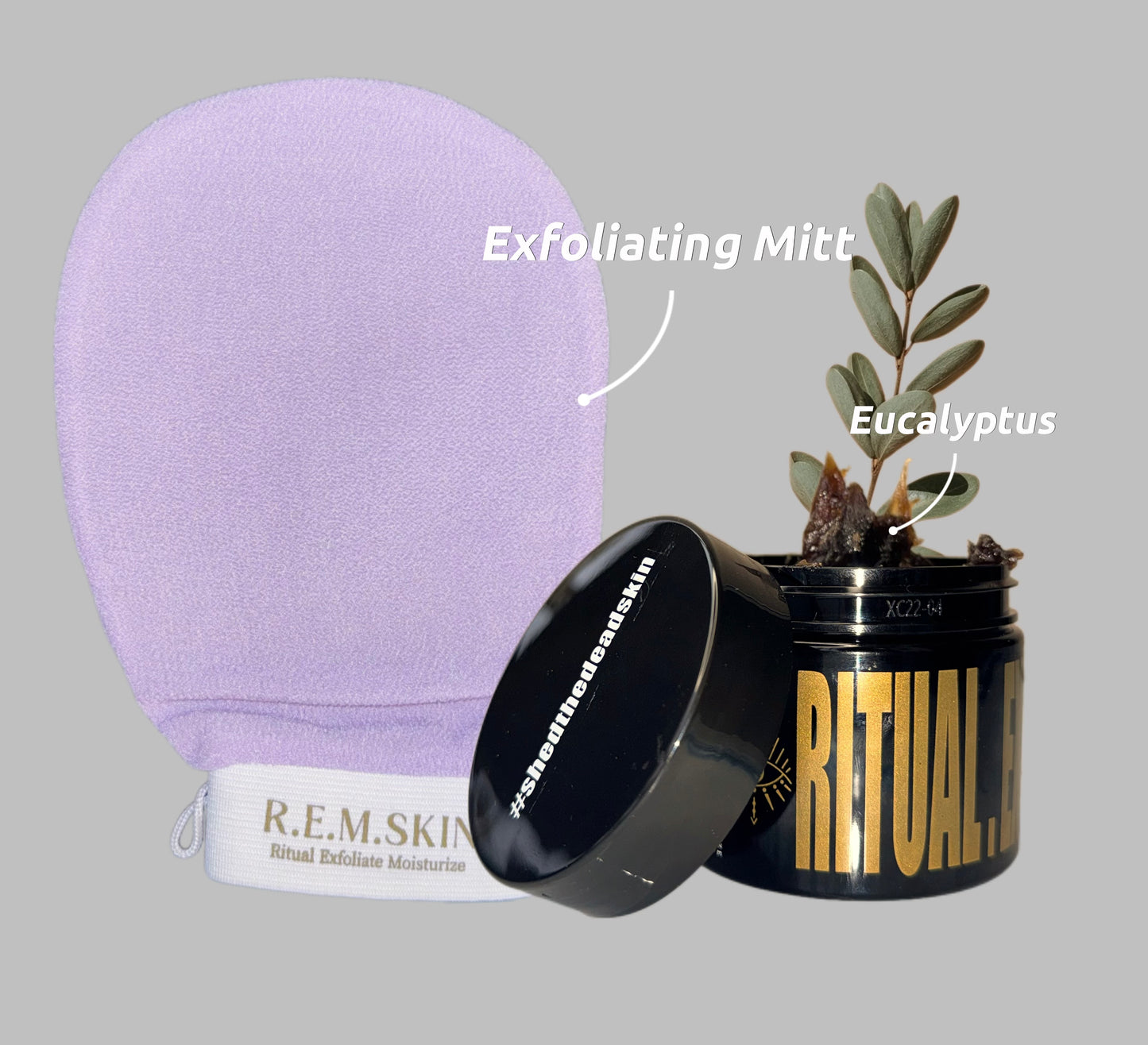 Bundle | Eucalyptus Signature