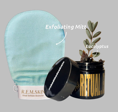 Bundle | Eucalyptus Signature